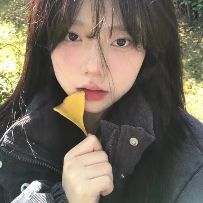 少女十五十六时