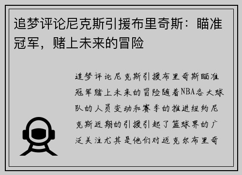 追梦评论尼克斯引援布里奇斯：瞄准冠军，赌上未来的冒险